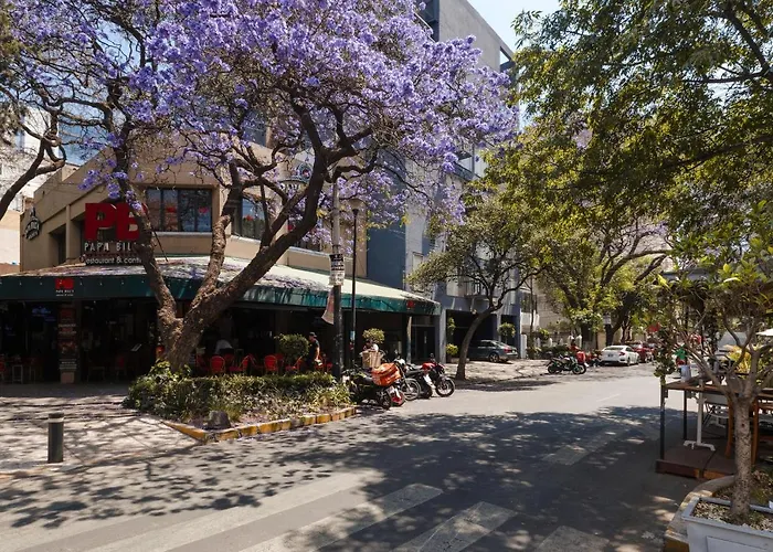 Sonder Ríos * México DF